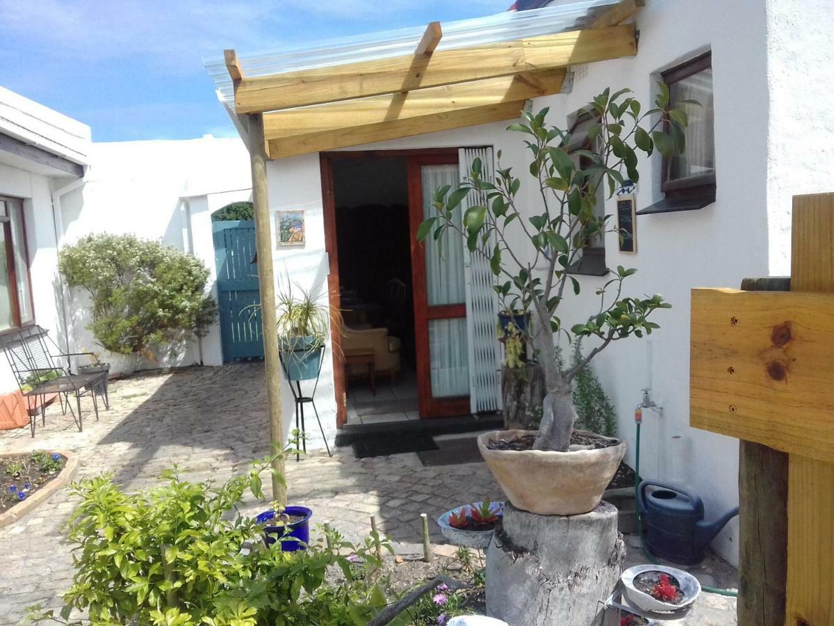 Albatross Appartement Hermanus Buitenkant foto