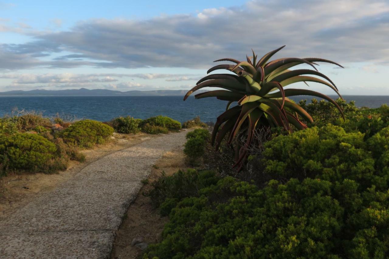 Albatross Appartement Hermanus Buitenkant foto
