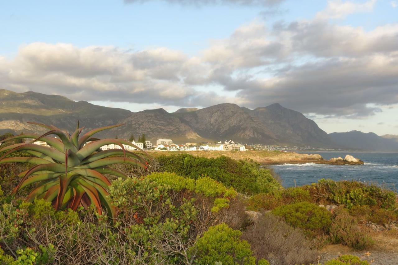 Albatross Appartement Hermanus Buitenkant foto